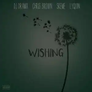 DJ Drama - Wishing (ft. Chris Brown, Skeme & Lyquin)